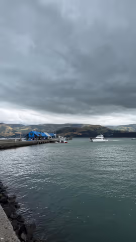 Akaroa day tour from Christchurch (Van up to 15 Pax)