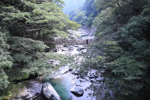 Iya Valley Vine Bridge Tour: One of Japan’s Three Great Hidden Regions