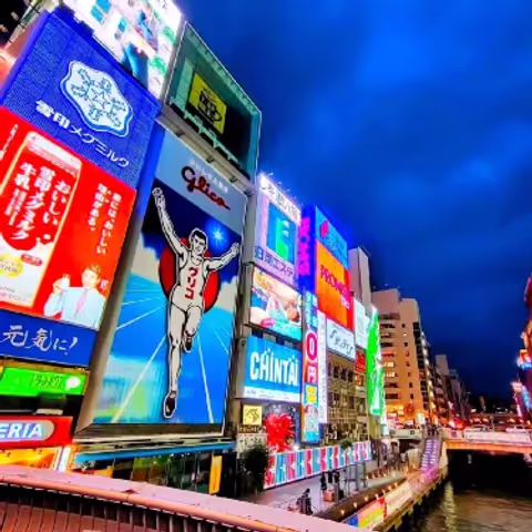 Osaka Nightlife: Exploring from Evening into the Night with Private Vehicle