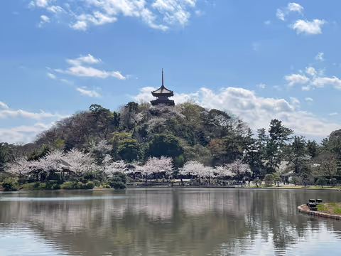 Private Day Tour to Yokohama – Scenic Views & Serene Gardens