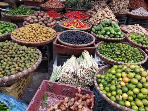 Hanoi Layover tour: Day trip with a private guide