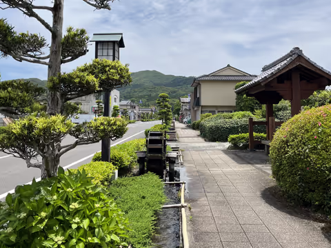 Chiran Uncovered Ⅱ: Samurai Gardens, Kamikaze History and Green Tea Terrace