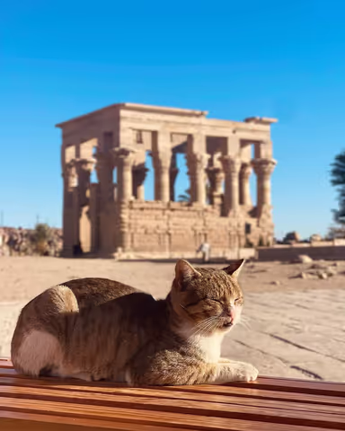 Half Day Car Tour to Philae Temple and High dam in Aswan
