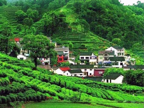 Private Hangzhou Day Tour from Shanghai by Bullet Train