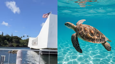 Pearl Harbor & Oahu’s North Shore: History, Turtles & Local Flavors