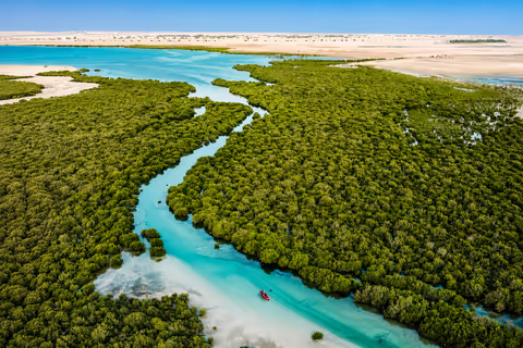 North Qatar Private Tour from Doha: Al Zubarah UNESCO Site, Al Khor & Mangroves
