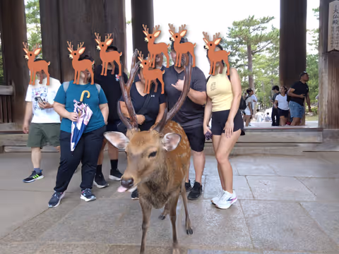 5 Highlights in Nara in 6 hours