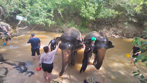 Kulen Mountain & Elephant Sanctuary Private Tour