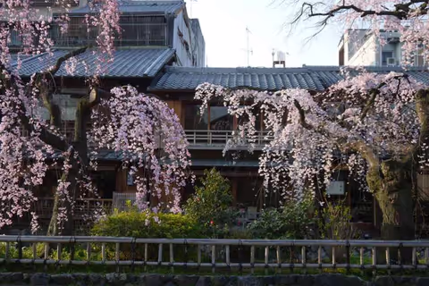Wonderful KYOTO !!