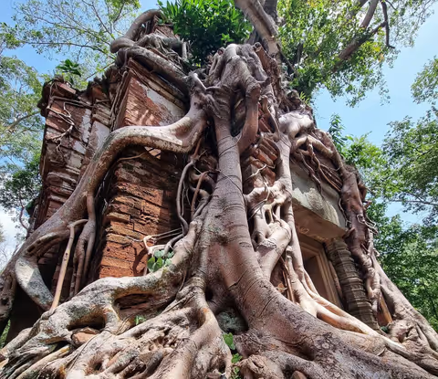 Kulen Mountain & Koh Ker Private Tour