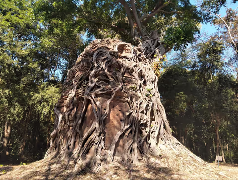 Sambor Prei Kuk & Preah Khan Kampong Svay Private Tour