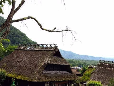 Saiko Iyashi no Sato Nenba (Healing Village) and Oshino Hakkai Village