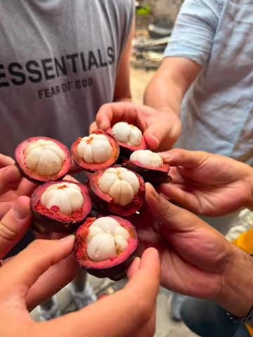 Hanoi Vegan Food Tour – Authentic Vietnamese Street Food