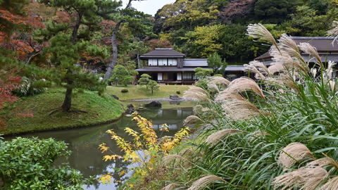 Yokohama Highlights & Sankeien Garden: Traditional Beauty Meets Modern Harbor