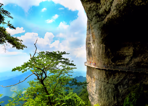 Daytour in Jinfoshan Natural UNESCO park w/ Private Transport
