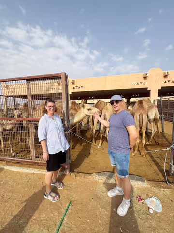 Al Ain Full Day City Tour with Camel Market, Oasis & Forts