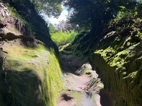 Kamakura Alps Trekking Tour with Zen Experience