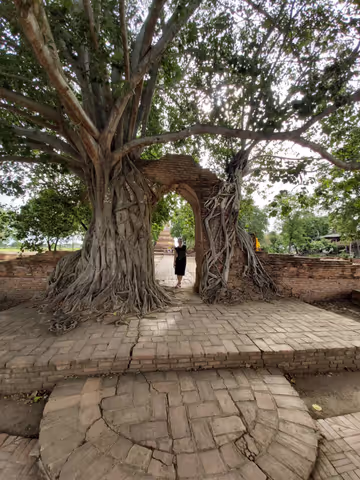 Explore the Captivating Destination of Ayutthaya with Ease ( Private Sedan 3 pax)