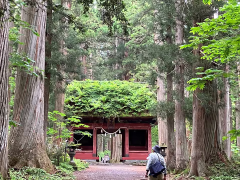 Day Trip to Togakushi (Nagano) from Matsumoto