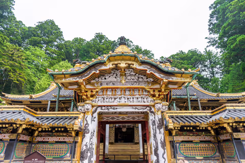 A Day Tour to Nikko from Tokyo by a National Licensed Guide with a Minivan