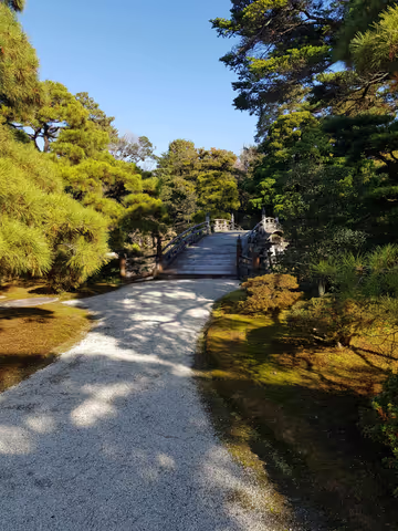 Omiya Bonsai Village & Historic Hikawa Shrine Private Tour (English / Spanish)