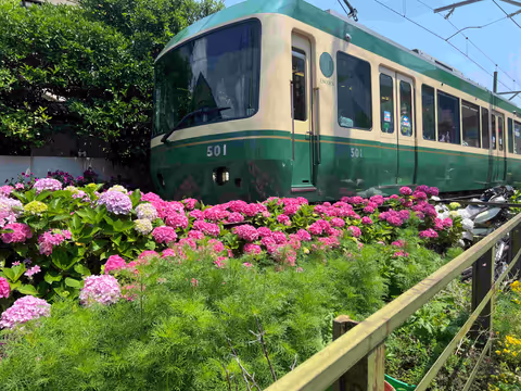 Feel the Samurai Spirit/ Half Day  — A journey to the birthplace of the first Samurai government.