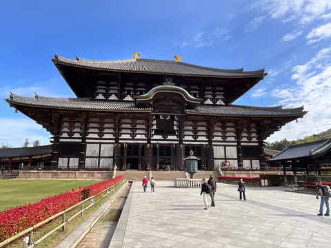 The Ultimate Nara Experience – See It All in 6 Hours