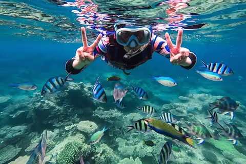 Zanzibar Snorkeling & Swimming with Sea Turtles: A Magical Marine Experience