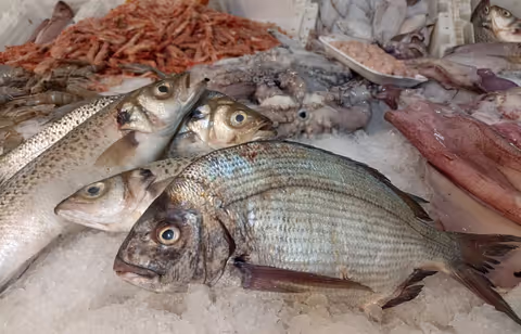 Casablanca Food Tour