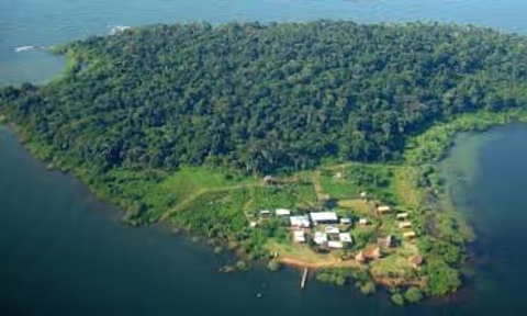 1‑Day Ngamba Island Chimpanzee Sanctuary Tour by Private Safari Car