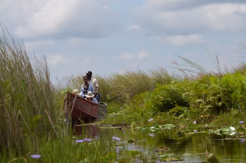 1 Day Mabamba Swamp Birding Safari ( Van 1-7 pax)