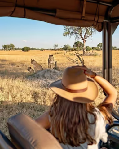 Safari Day trip.