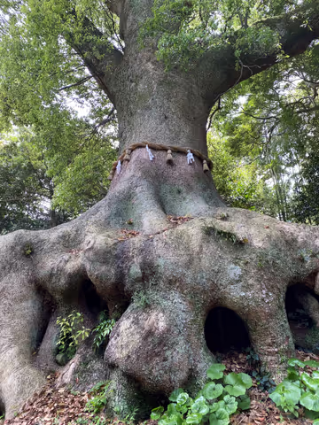 Hidden Shrines: A Local Shrine-Hopping Tour
