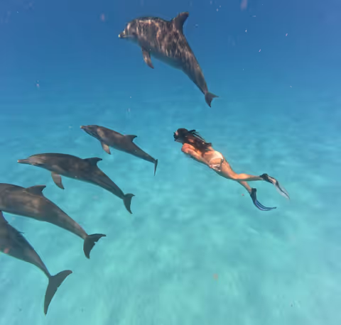 Private Zanzibar Dolphin & with Snorkeling Tour