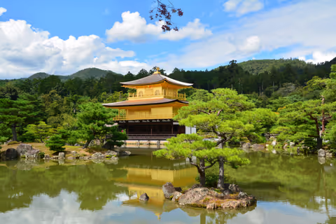Discover Kyoto in a Day: Temples, Castle & Gion