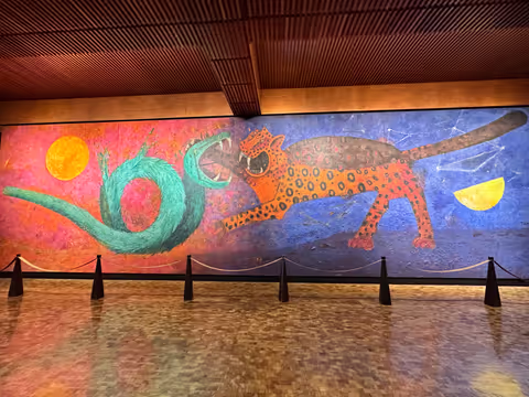 3 Hour Visit to the Anthropology Museum