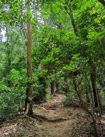 Kunpeng Trail Adventure, Shenzhen