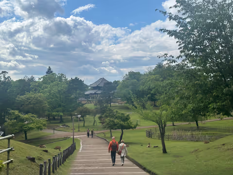 3-Hour Nara City Walking tour