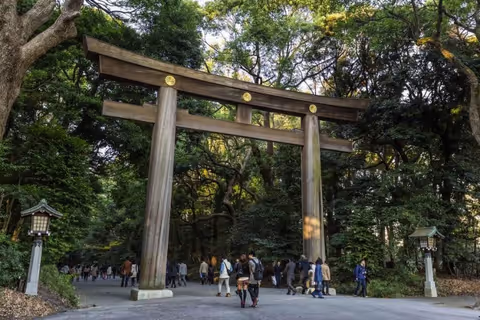 3 Hours in Tokyo: Highlights Express