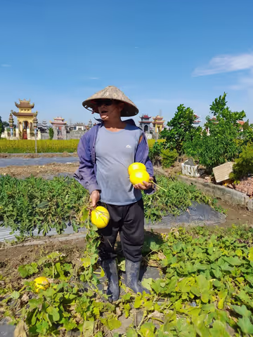 Local Farm Experience – Meet Farmers & Explore Rural Life