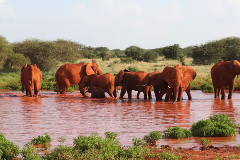 3 Days Maasai Mara Nationl Reserve Tour