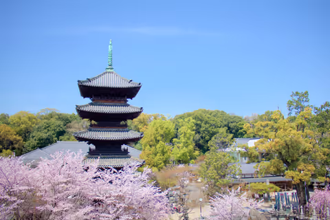 [Nagoya] Day Tour with a Private Car - by Sedan (4 pax)