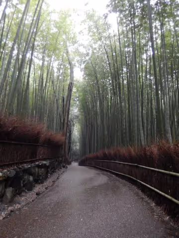 Penetralia Arashiyama and Sagano (Kyoto departure)