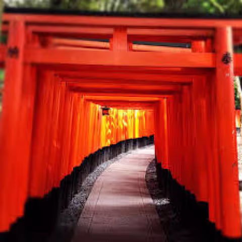 Kyoto Full Day Private Tour