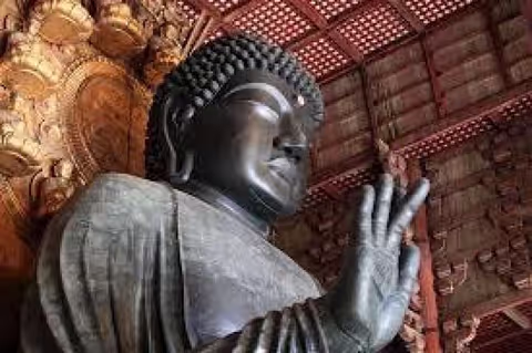 Bustling Osaka & Ancient Nara Full Day Private Tour