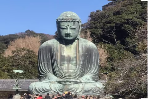 One-Day Ancient Wonders in Kamakura(Bamboo Temple, Hachimangu Shrine, Great Buddha, Hasedera Temple)