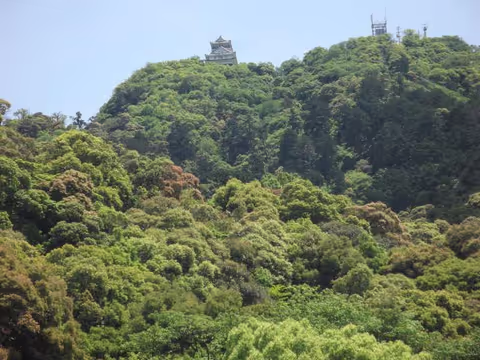 Walking tour in Gifu city