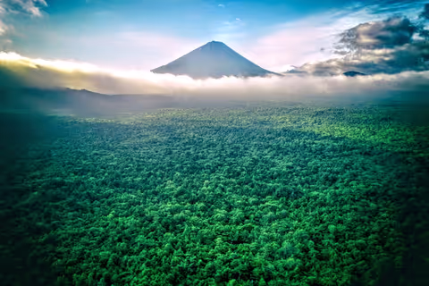 Feel Great Nature of Mt.Fuji & Mystical Forest Aokigahara