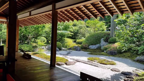 5. Kamakura: once the capital of Japan, historic shrines, Great Buddha, and bamboo forests.