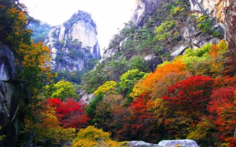 Walking and experience Tour in SHOSENKYO Japan's most beautiful ravine !   